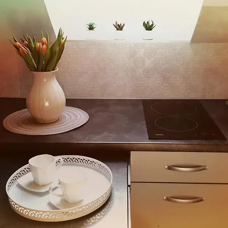Sloneczny Apartament 1 アパート